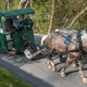 Illustration for article titled How Can I Get This Horse-Powered Garbage Truck To My Neighborhood?